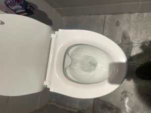 toilette 3